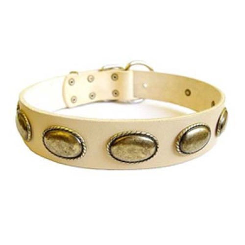 Dog Collars